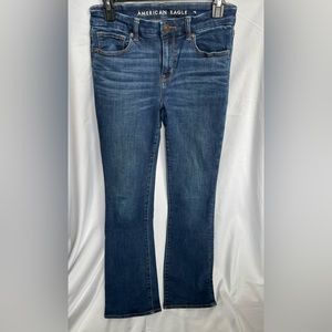 American Eagle Curvy Skinny Kick Jeans